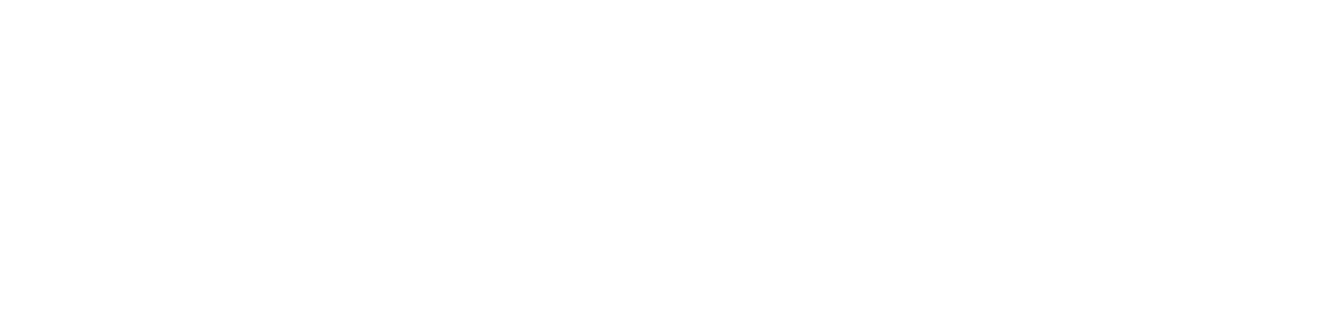 litespeed-logo1.png