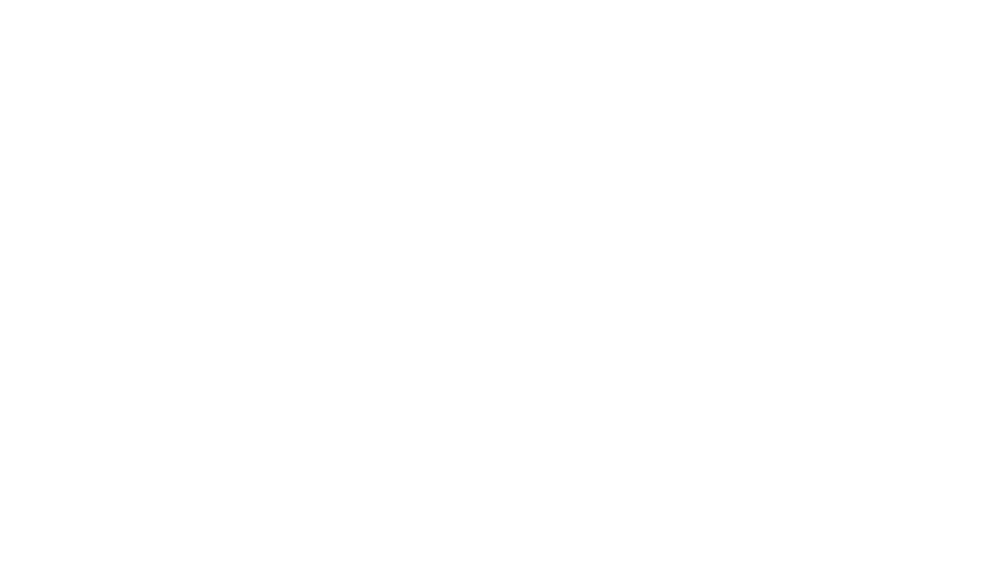 superpsswa-logo.png